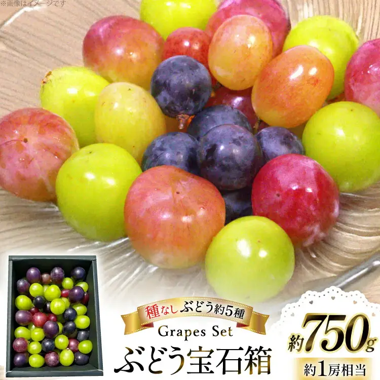 【期間限定発送】 ぶどう 詰め合わせ 種なしぶどうの宝石箱 約5種類 約750g [大野農園 山形県 高畠町 tk06ayt050000]