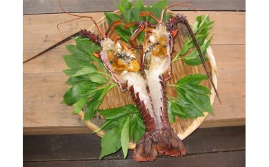 伊勢海老ひもの