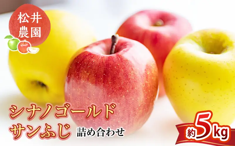 りんご サンふじ シナノゴールド 詰め合わせ 約5kg フルーツ 果物 甘い 林檎 セット