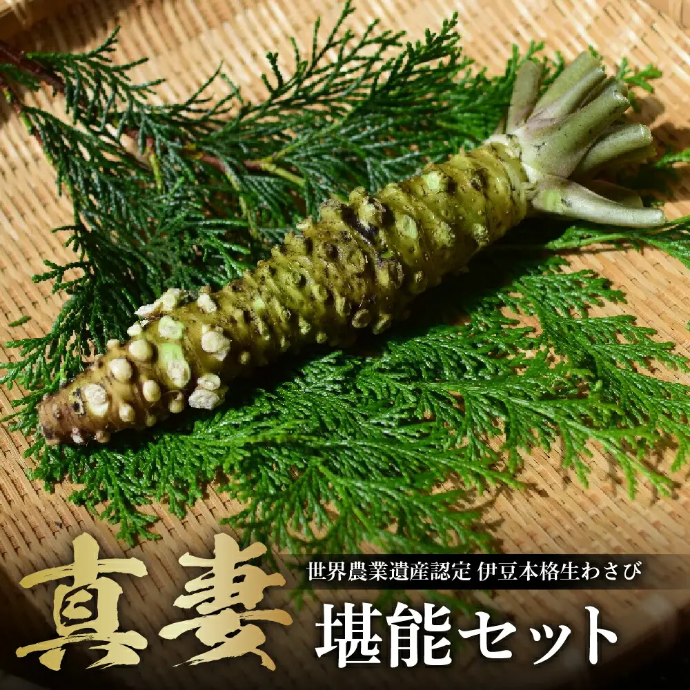 わさび 伊豆本格生わさび「真妻」堪能セット　012-005