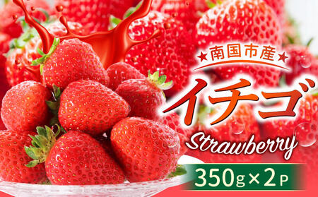 【先行予約】いちご 700g フルーツ イチゴ 西島園芸団地