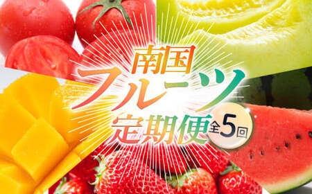 【年5回 フルーツ定期便】季節のフルーツセット【いちご スイカ マンゴー メロン】