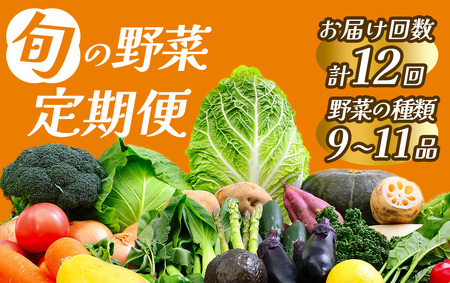 旬の野菜セット 1年間の定期便　【 野菜 】