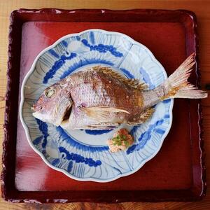 慶事用 特大 鯛の浜焼き 一尾入