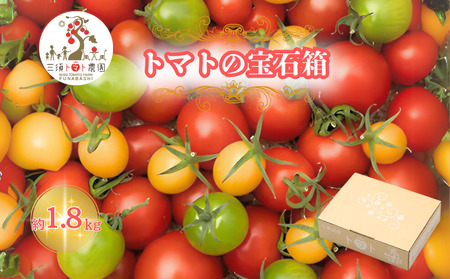 三須トマト農園 宝石箱セット 約1.8kg 船橋産 産地直送 ミニトマト ギフトボックス マスカッティオ サニーアロハ  ももちゃん フルーティカ バイオレット アイコ 国産 ビタミンＣ 詰め合わせバラ箱詰め  とまと トマト フルーツトマト 野菜 やさい 人気 新鮮 産地直送 甘い 高糖度 完熟 食べやすい リコピン ビタミン ダイエット 美容 美肌