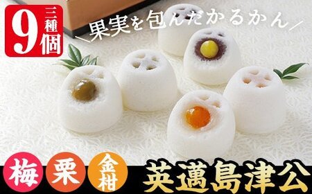 A6-003 かるかん饅頭「英邁 島津公」3種セット(計9個)【森三】霧島市 和菓子 かるかん 軽羹 饅頭 まんじゅう 茶請け 常温
