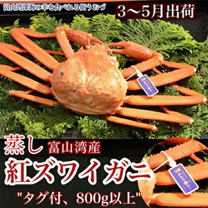 【3-5月出荷】蒸し紅ズワイガニ　1匹（約800g以上） ｜ ずわい蟹 ずわいガニ ズワイガニ ※2026年3月上旬～5月下旬頃に順次発送予定 ※北海道・沖縄・離島への配送不可