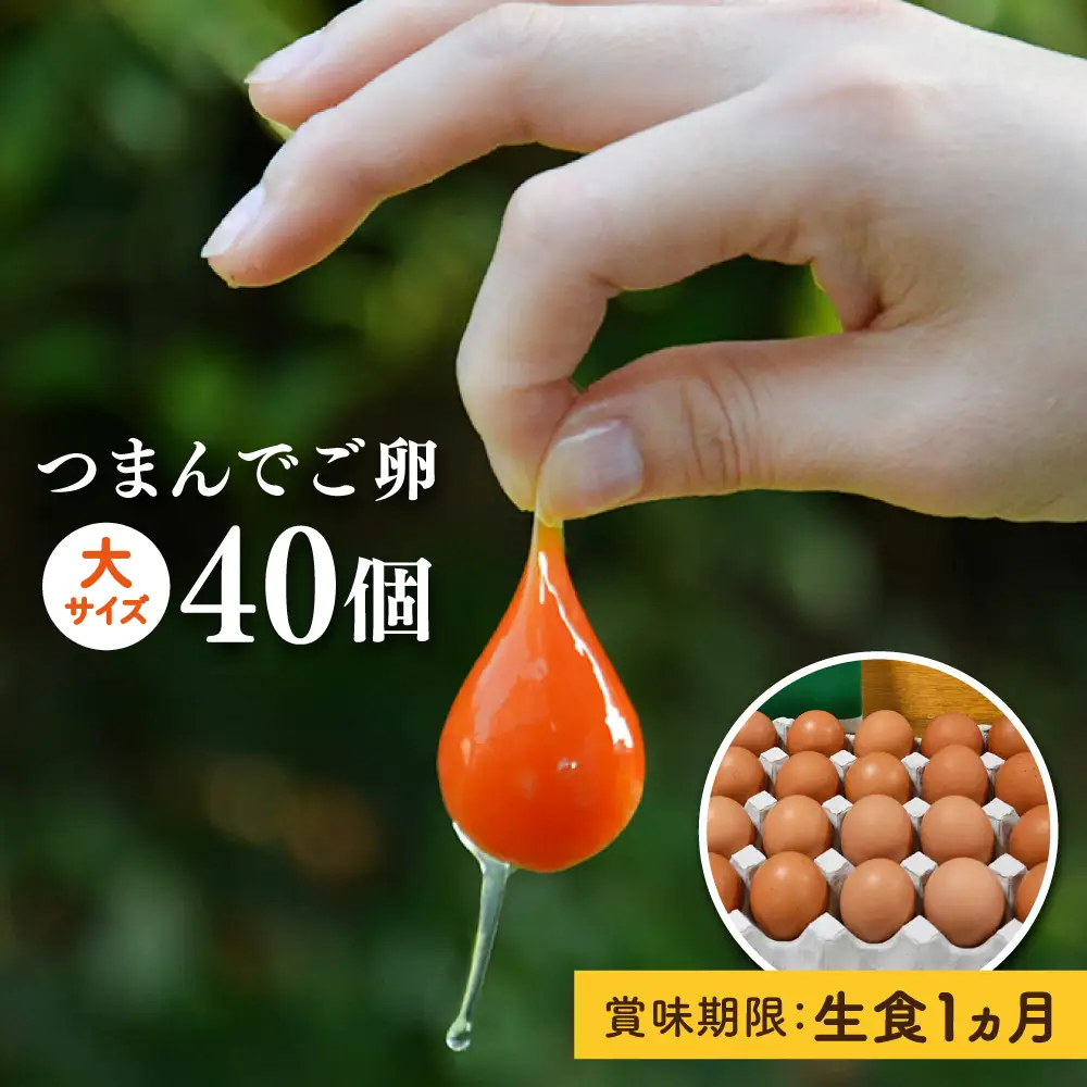 【プリップリな卵黄！】つまんでご卵 40個セット 卵 たまご 糸島 / 緑の農園 [AGA011] ランキング 上位 人気 おすすめ 生卵 鶏卵