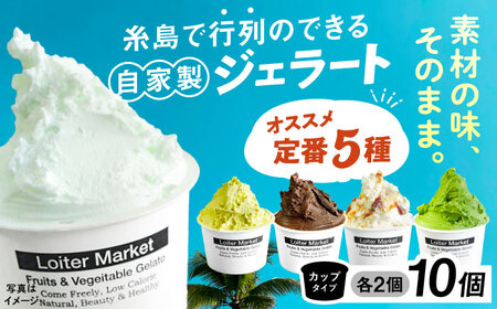 行列のできる アイスクリーム 屋 ジェラート10個（定番5種×各2個）アイス 食べ比べ ギフト スイーツ プレゼント 糸島 / LoiterMarket ロイターマーケット [AGD001]