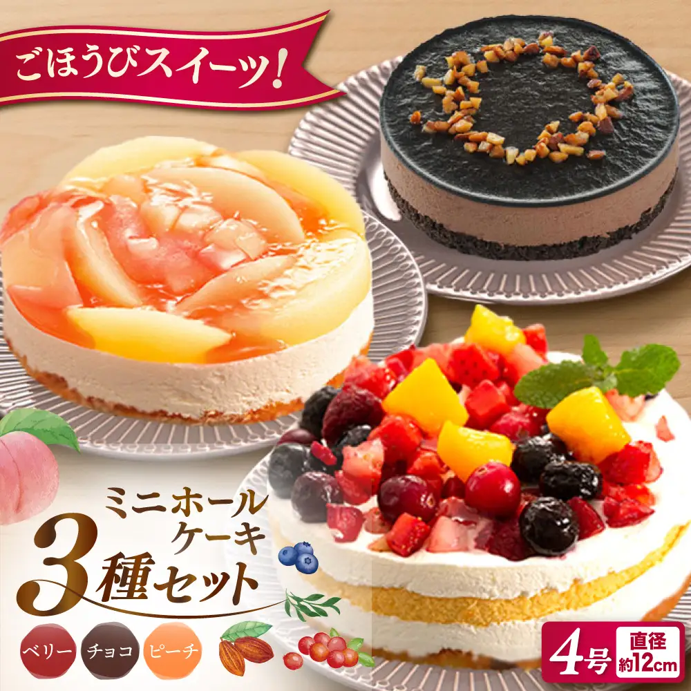 ホールケーキ 3種 フルーツ / チョコムース / レアチーズ 糸島市 / 五