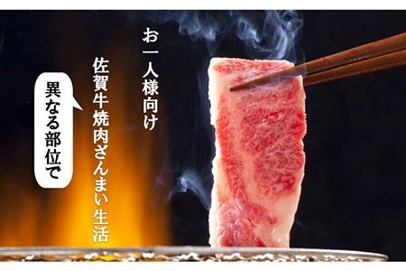 【計8回】お一人様向け 佐賀牛の異なる部位で焼肉を楽しむ！1か月に1回届く定期便 [FAZ044]