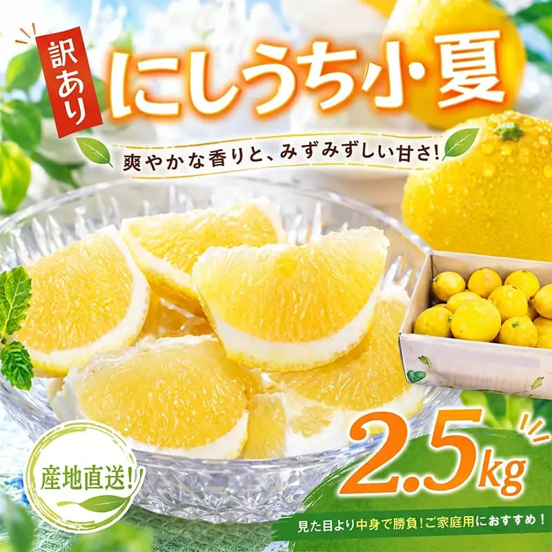 訳あり小夏 (果物) 2.5kg【小夏】