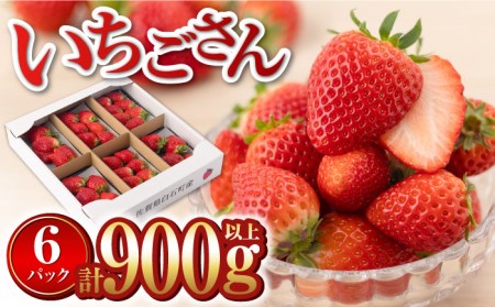 【先行予約】【2027年1月以降発送】いちごさん 900g / いちご [IAA022]
