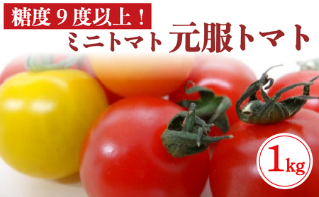 元服トマト 1kg フルーツトマト 