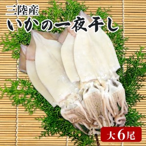 いか 干物 6尾 干物