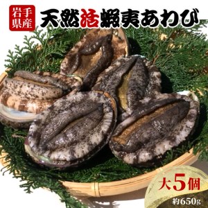 活あわび 大サイズ 5個 約650g 冷蔵 あわび