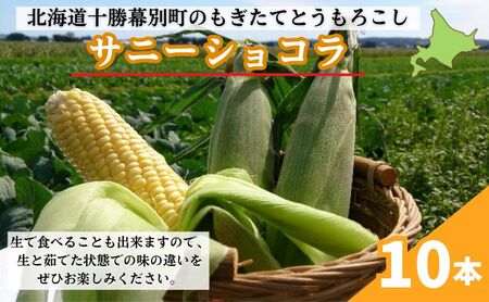 ［先行予約/2026年］もぎたてとうもろこし黄10本 [北海道ホープランド農場]【 とうきび トウモロコシ とうもろこし 野菜 夏野菜 フルーツ 北海道 十勝 幕別 】 