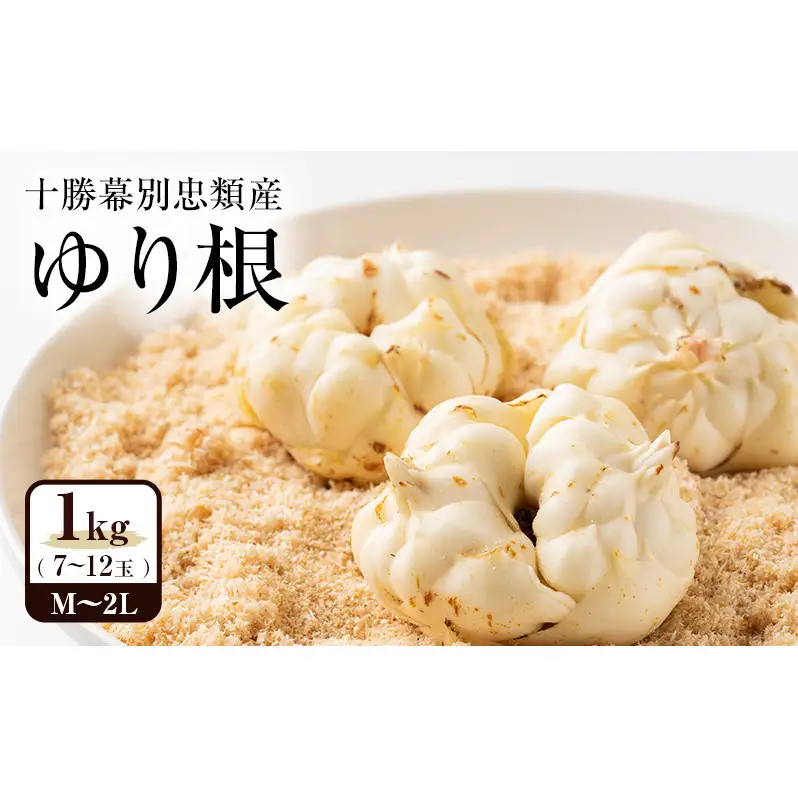 2026年10月発送 先行予約 十勝「忠類ゆり根」1kg (7～12玉) M～2L［JA忠類］【 ゆり根 百合根 高級食材 お正月 贈答 ギフト 根菜 冬の味覚 北海道 幕別 】