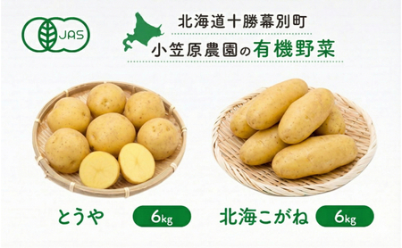 小笠原農園の有機じゃがいも 2種詰合せ（とうや6kg・北海こがね6kg）北海道 十勝 幕別《2026年秋出荷先行予約》【 野菜 芋 じゃがいも とうや 北海こがね セット 】 