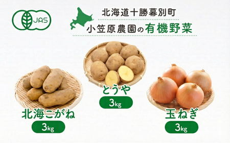 小笠原農園の有機野菜 3種詰合せ（とうや3kg・北海こがね3kg・玉ねぎ3kg）北海道 十勝 幕別《2026年秋出荷先行予約》【 野菜 芋 じゃがいも たまねぎ タマネギ セット 】