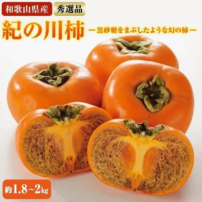 〈2026年10月中旬頃より順次発送〉紀の川柿約1.8～2kg 種無し 柿　希少 ［TM191］