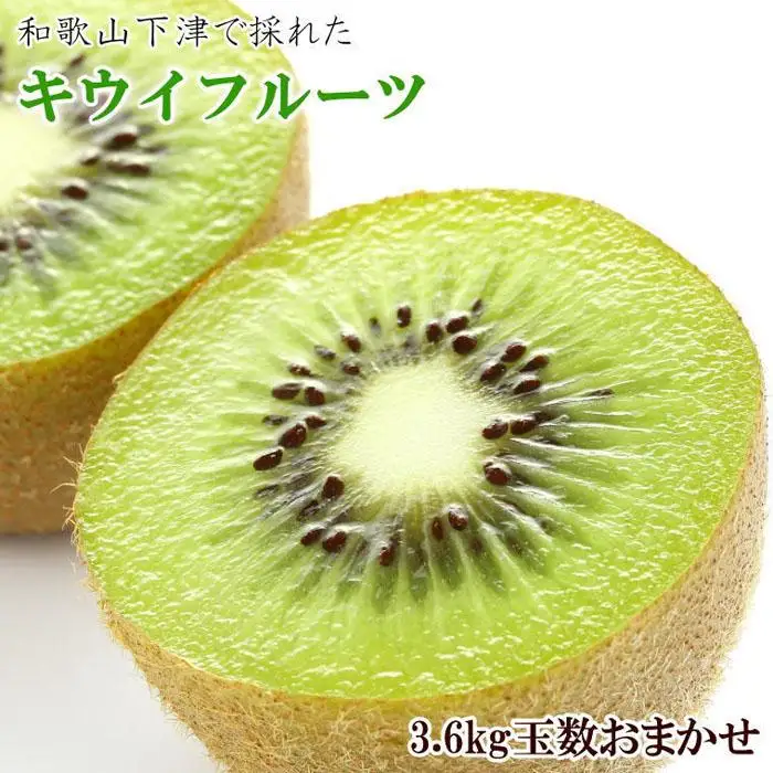 和歌山の下津で採れたキウイフルーツ約3.6kg（玉数おまかせ・秀品）★2027年１月中旬頃より順次発送［TM111］