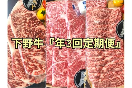 「下野牛」定期便3回コース(配送月 ２月､６月､10月)【1月10日から順次出荷】 F7Z-152