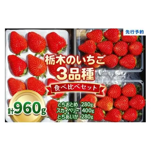 いちご3品種 食べ比べセット 960g(とちあいか・スカイベリー・とちおとめ)