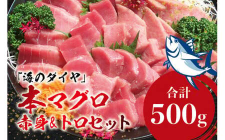 本マグロ（養殖）トロ＆赤身セット 500g 【１ヶ月以内に順次発送】 【配達日指定不可】高級 クロマグロ  中トロ 中とろ まぐろ マグロ 鮪 赤身 柵 じゃばらまぐろ 本マグロ 本鮪【nks110D】