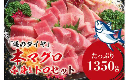 本マグロ（養殖）トロ＆赤身セット 1350g 【１ヶ月以内に順次発送】 【配達日指定不可】高級 クロマグロ  中トロ 中とろ まぐろ マグロ 鮪 刺身 赤身 柵 じゃばらまぐろ 本マグロ 本鮪【nks111B】