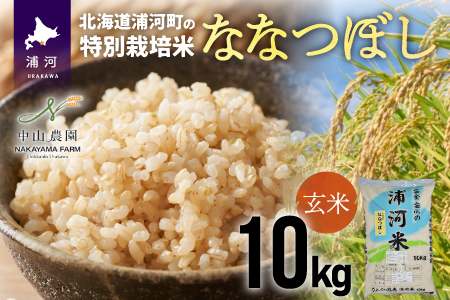 浦河の特別栽培米「ななつぼし」玄米(10kg×1袋)[37-1027]