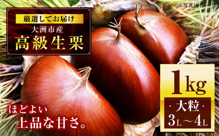 栗 【2026年9月下旬から順次発送】高級生栗 1kg[AGAE007]