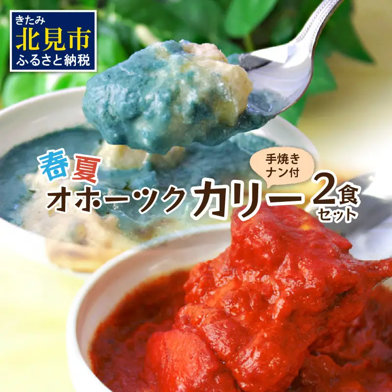 クリシュナ 春夏オホーツクカリー 2食セット 手焼きナン付 ( 食品 加工品 惣菜 カレー ナン セット 五つ星ホテル オホーツク海 オホーツクカレー )【127-0016】