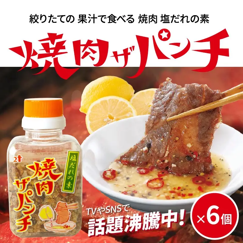 塩だれの素 焼肉ザパンチ 6個 塩だれ 調味料 スパイス 料理 アレンジ 味付け ミックススパイス 焼肉 焼き肉 パスタ 唐揚げ 万能調味料 ガーリック ニンニク アウトドア キャンプ BBQ バーベキュー 特産品 グルメ