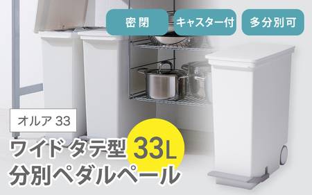 オルア33スリム タテ型 分別ペダル ペール【like005】