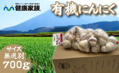 【オーガニック】有機にんにく無選別 700g（ニンニク オーガニック 無農薬 有機野菜）