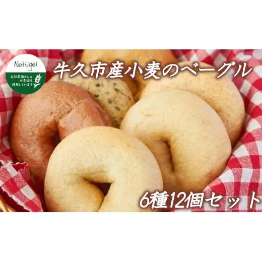 牛久市産 小麦 の ベーグル 6種・12個セット