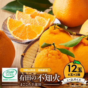ZE6111n_【2027年先行予約】有田の不知火(しらぬひ)　6玉×2箱（L～2Lサイズ） まごころ手選別