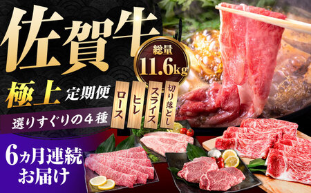 【6回定期便】佐賀牛 定期便 / 牛肉 [IAG078]
