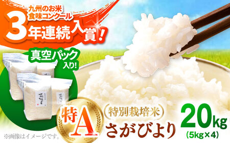 令和7年産 さがびより 20kg（白米）/お米 [IBL002]