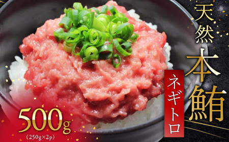 天然 本鮪 ネギトロ 250g×2パック M007-005 冷凍 マグロ