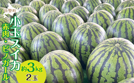 ＜2026年8月上旬より順次お届け＞北海道壮瞥産 小玉すいか（赤肉・ピノガール）2玉 約3kg スイカ SBTN004
