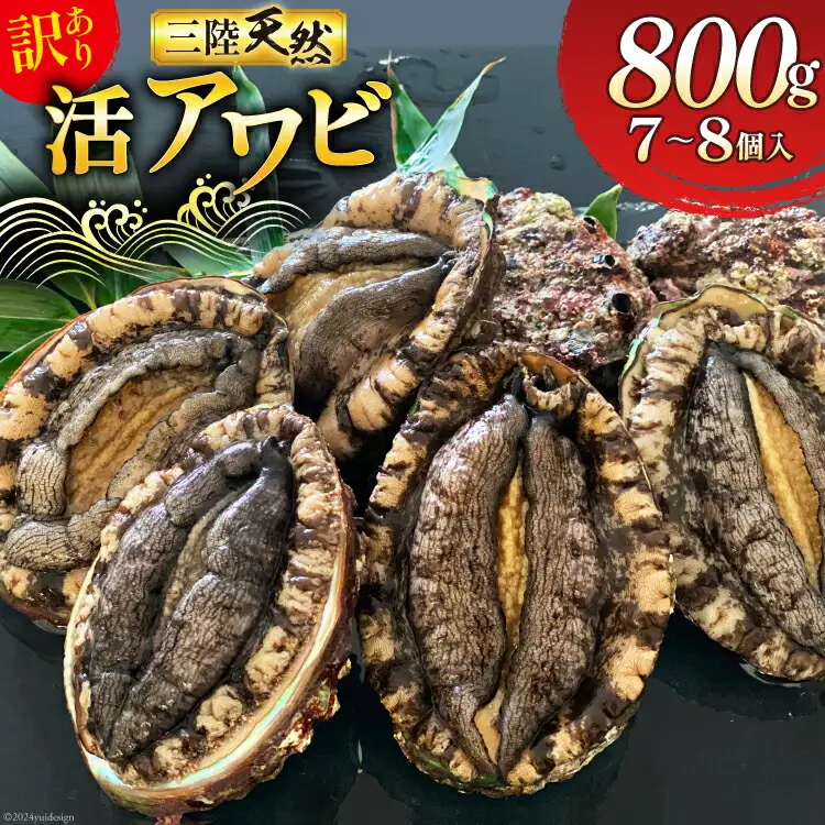 【期間限定発送】 海鮮 訳あり 三陸産 活アワビ 800g (7～8個) [マルヤ五洋水産 宮城県 南三陸町 30al0006]