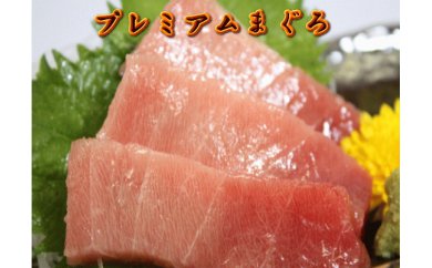 【定期便】まぐろ専門店 湊魚問屋プレミアムまぐろセット 2回分 M005-T01 冷凍 マグロ 定期便