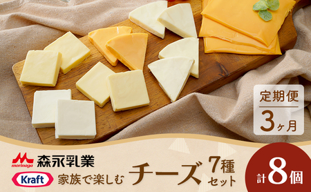 チーズセット 定期便 3ヶ月　家族で楽しむチーズセット 8個セット 贅沢チーズ 詰め合わせ ワインのお供 つまみ おつまみ カマンベールチーズ クリームチーズ モッツァレラチーズ モッツァレラ 加工食品 乳製品 