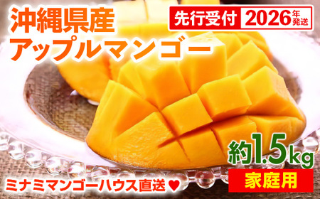 【先行受付】【2026年発送】ミナミマンゴーハウスのアップルマンゴー 家庭用 約1.5kg- 先行予約 沖縄県産 産地直送 南国フルーツ 旬の味覚 ご自宅用 オススメ 沖縄県 八重瀬町