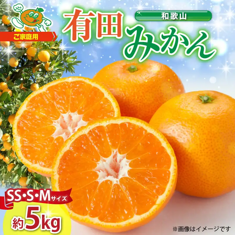 ZJ6081_【2026年先行予約】【ご家庭用】和歌山 有田みかん 約5kg (SS、S、Mサイズ)【湯浅町】