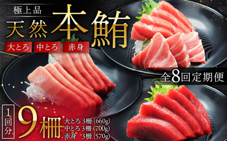 【 全8回 定期便 】 極上品 天然 本鮪 大とろ 3柵 ・ 中とろ 3柵 ・ 赤身 3柵 M007-T04 冷凍 定期