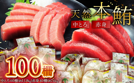 天然 本鮪 中とろ ・ 赤身 合計 100柵 M007-008-03 冷凍 マグロ