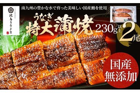 うなぎの特大蒲焼（2尾）230g以上×2尾　AE04